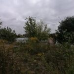 23.09.2021. Tereny wokół kazimierskiego zbiornika wodnego, które będą poddane rewitalizacji / Marta Gajda-Kruk / Radio Kielce