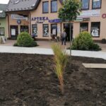 23.09.2021. Kazimierza Wielka. Rewitalizacja Rynku w Kazimierzy Wielkiej / Marta Gajda-Kruk / Radio Kielce