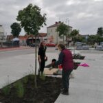 23.09.2021. Kazimierza Wielka. Rewitalizacja Rynku w Kazimierzy Wielkiej / Marta Gajda-Kruk / Radio Kielce