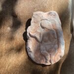 05.09.2021. Skarżysko-Kamienna. Piknik archeologiczny Rydno / Anna Głąb / Radio Kielce