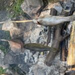 05.09.2021. Skarżysko-Kamienna. Piknik archeologiczny Rydno / Anna Głąb / Radio Kielce