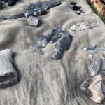 04.09.2021. Sandomierz. Weekend Krzemienia Pasiastego. Wioska neolityczna / Grażyna Szlęzak-Wójcik / Radio Kielce