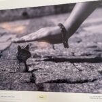 04.09.2021. Sandomierz. Weekend Krzemienia Pasiastego - wernisaż / Grażyna Szlęzak-Wójcik / Radio Kielce