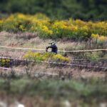 18.09.2021 Okolice Piekoszowa. Mistrzostwa Europy w motocyklowych rajdach enduro / Jarosław Kubalski / Radio Kielce