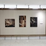 02.09.2021 Kielce. Zespół Szkół Plastycznych. Gobeliny autorstwa Marii Kowalczyk / Jarosław Kubalski / Radio Kielce