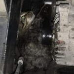 Ochotnicza Straż Pożarna w Skarżysku-Kamiennej