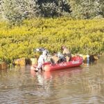 03.09.2021. Nowe w gminie Ożarów. Strażacy w akcji ratowania pszczół / KP PSP Opatów