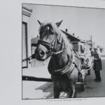 24.09.2021. Tokarnia. Muzeum Wsi Kieleckiej. Wystawa "Portret zapomnianej prowincji kieleckiej. Pierściński, Buczkowski, Gajewski" / Wiktor Taszłow / Radio Kielce