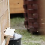 25.09.2021. Kielce. Spotkanie w siedzibie Świętokrzyskiego Stowarzyszenia Pszczelarzy / Wiktor Taszłow / Radio Kielce