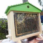 25.09.2021. Kielce. Spotkanie w siedzibie Świętokrzyskiego Stowarzyszenia Pszczelarzy / Wiktor Taszłow / Radio Kielce