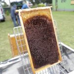 25.09.2021. Kielce. Spotkanie w siedzibie Świętokrzyskiego Stowarzyszenia Pszczelarzy / Wiktor Taszłow / Radio Kielce