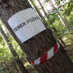 13.09.2021. Zalew Adrzejówka. Ćwiczenia: wypadek, pożar, pierwsza pomoc / Wiktor Taszłow / Radio Kielce