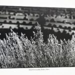 24.09.2021. Tokarnia. Muzeum Wsi Kieleckiej. Wystawa "Portret zapomnianej prowincji kieleckiej. Pierściński, Buczkowski, Gajewski" / Wiktor Taszłow / Radio Kielce