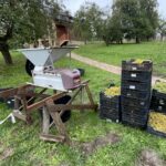 18.09.2021. Opatów. Winobranie u Brzostowiczów / Emilia Sitarska / Radio Kielce