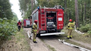 16.09.2021. Ostrowiec Świętokrzyski. Ćwiczenia strażaków na terenie leśnictwa Zwierzyniec / Emilia Sitarska / Radio Kielce