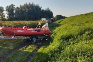 03.09.2021. Nowe w gminie Ożarów. Strażacy w akcji ratowania pszczół / OSP Ożarów