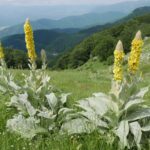 25.09.2021. Bułgaria poza szlakiem. Od gór do morza / Danuta Rasała