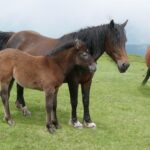 25.09.2021. Bułgaria poza szlakiem. Od gór do morza / Danuta Rasała