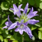 25.09.2021. Bułgaria poza szlakiem. Od gór do morza / Danuta Rasała