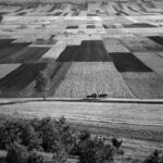Zdjęcia autorstwa Pawła Pierścińskiego. Fotografie udostępnione przez Andrzeja Borysa - wieloletniego prezesa Okręgu Świętokrzyskiego Związku Polskich Artystów Fotografików / Paweł Pierściński
