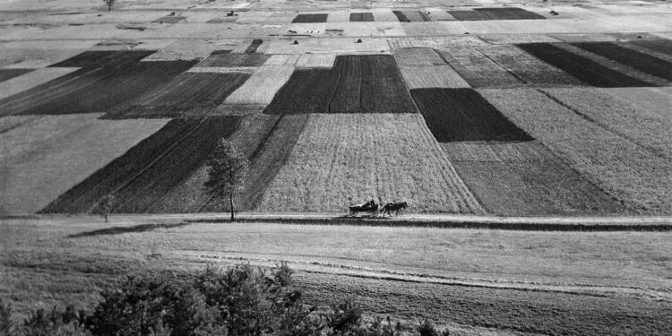 Zdjęcia autorstwa Pawła Pierścińskiego. Fotografie udostępnione przez Andrzeja Borysa - wieloletniego prezesa Okręgu Świętokrzyskiego Związku Polskich Artystów Fotografików / Paweł Pierściński