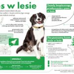 03.09.2021. Kielce. Konferencja dotycząca rekreacji w lasach / Wiktor Taszłow / Radio Kielce