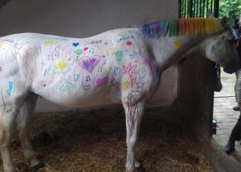 facebook.com/DakotaNaKontrewersie / Radio Łódź