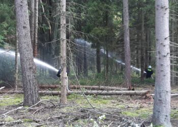 02.09.2021. Kozów w gminie Smyków. Strażackie ćwiczenia „Poligon 2021" / OSP KSRG Ruda Maleniecka