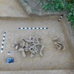 28.09.2021. Sadowie. Prace archeologiczne - cmentarzysko kultury amfor kulistych / Wojciech Pasterkiewicz / Uniwersytet Rzeszowski