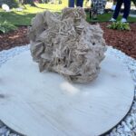 10.09.2021. Sobów. Ogród sensoryczny na terenie DPS-u w Sobowie / Emilia Sitarska / Radio Kielce