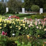 03.10.2020. Kielce. Jesień na wrzosowisku w Parku Botanicznym / Wiktor Taszłow / Radio Kielce