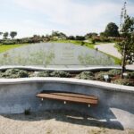 03.10.2020. Kielce. Jesień na wrzosowisku w Parku Botanicznym / Wiktor Taszłow / Radio Kielce