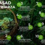 03.09.2021. Kielce. Konferencja dotycząca rekreacji w lasach / Wiktor Taszłow / Radio Kielce