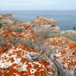 25.09.2021. Bułgaria poza szlakiem. Od gór do morza / Danuta Rasała