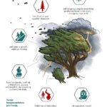 03.09.2021. Kielce. Konferencja dotycząca rekreacji w lasach / Wiktor Taszłow / Radio Kielce