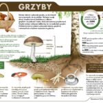 03.09.2021. Kielce. Konferencja dotycząca rekreacji w lasach / Wiktor Taszłow / Radio Kielce