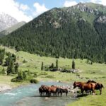 Kirgistan / Damian Wojciechowski