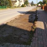 13.10.2021. Skalbmierz. Ul. ppor. Sokoła. Prace związane z nowymi nasadzeniami drzew ozdobnych w pasie drogowym / Urząd Miasta i Gminy w Skalbmierzu