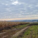 25.10.2021. Kazimierza Wlk. W tym miejscu deweloper ma zamiar wybudować bloki pomiędzy ulicą Budzyńską, a zalewem retencyjnym / Adam Bodzioch