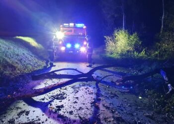 21.10.2021. Wywła. Powalone drzewo na drodze / Ochotnicza Straż Pożarna w Wywle