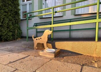 Starachowice. „Parking dla psów” przy Urzędzie Miasta / Marek Materek/Facebook