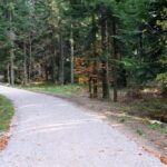 29.10.2021. Zagnańsk. Ścieżka rowerowa biegnąca duktem leśnym po królewskim szlaku Jana III Sobieskiego / Gmina Zagnańsk