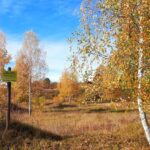 Garb pińczowski / Zespół Świętokrzyskich i Nadnidziańskich Parków Krajobrazowych