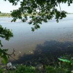 23.10.2021. Muzyczne podróże. Kajakiem po rzekach w Polsce. Bug / Bartek Szaro