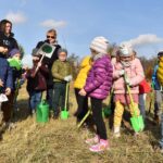 27.10.2021. Końskie. Akcja sadzenia drzew miododajnych / Magdalena Galas-Klusek / Radio Kielce