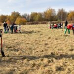 27.10.2021. Końskie. Akcja sadzenia drzew miododajnych / Magdalena Galas-Klusek / Radio Kielce