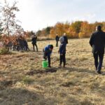 27.10.2021. Końskie. Akcja sadzenia drzew miododajnych / Magdalena Galas-Klusek / Radio Kielce