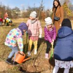 27.10.2021. Końskie. Akcja sadzenia drzew miododajnych / Magdalena Galas-Klusek / Radio Kielce