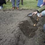 01.09.2021. Kielce. Kampania „Pola Nadziei”. Sadzenie cebulek żonkili na rabacie przy ulicy Warszawskiej w Kielcach / Sebastian Kalwat / Radio Kielce