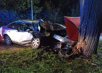 wypadek / Komenda Miejska PSP w Elblągu